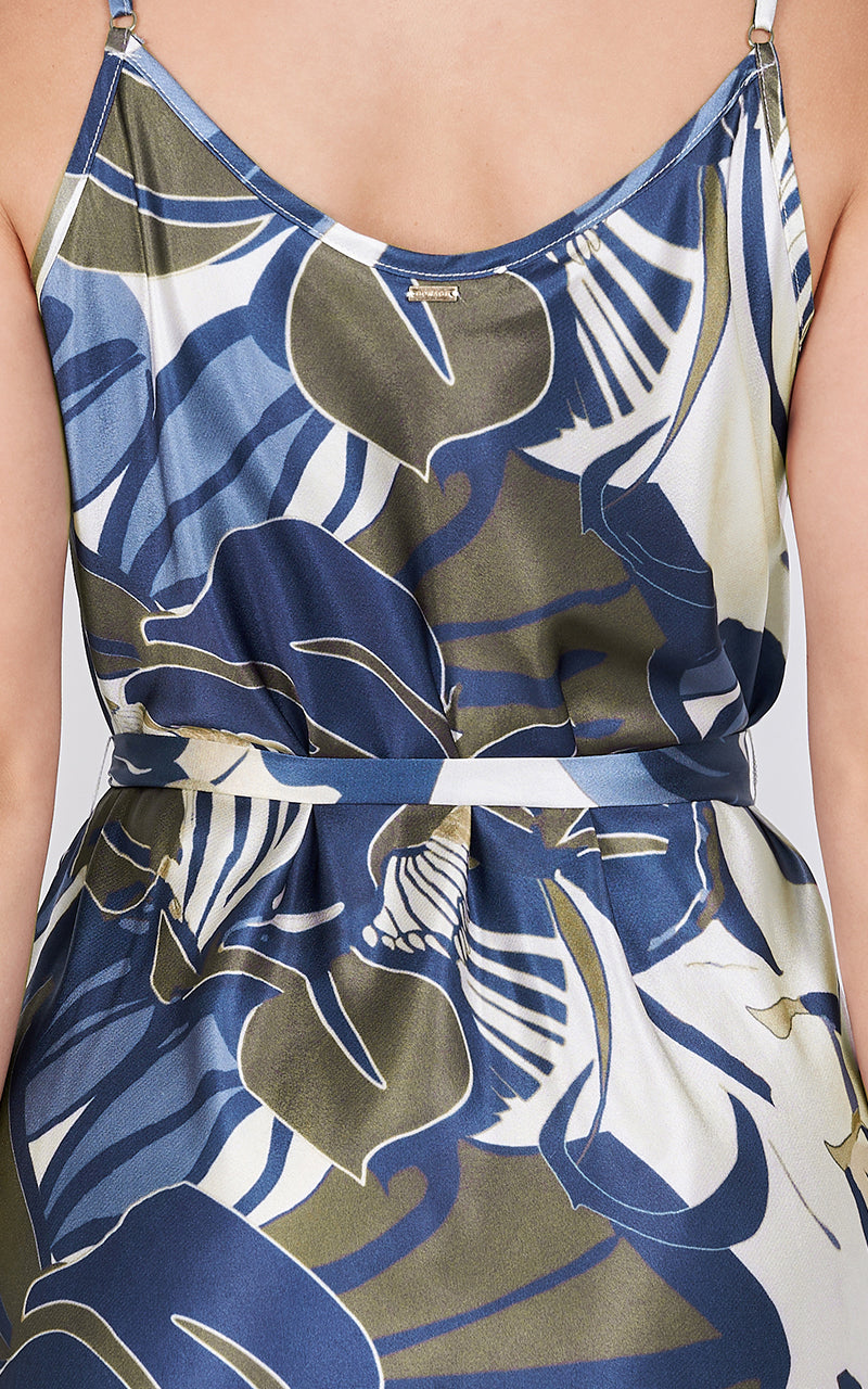 NATURE IN MOTION DRESS